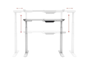 Sit-Stand Dual-Motor Height Adjustable Desk Frame, Electric